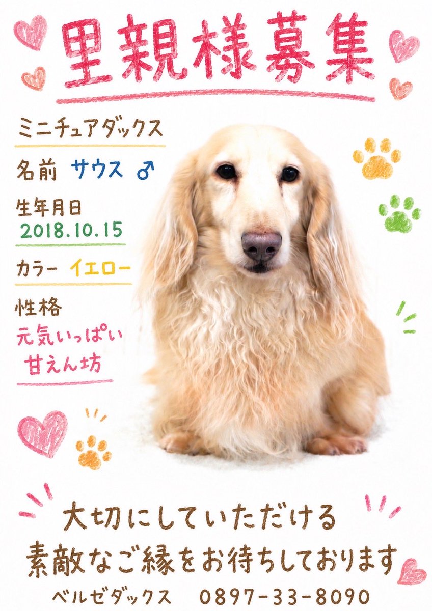 BERUZEDACHS's tweet photo. 引退犬の里親様募集中です🐶

興味がある方はご連絡ください。🙇🏻
良いご縁がありますように。🤗

https://t.co/b2MIQ2Ue4J https://t.co/j6Ut7rFtml