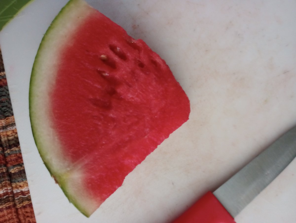 M_Mik_Mk's tweet photo. What ive eaten today so far trying to lose weight 

Watermelon-43 cals
Mini tortilla pizza-104 cals
Watermelon cucumber water which probably has like 5 calories 

One I started buying low calorie foods it's been much easier to eat less calories than before https://t.co/MY8aNekLhE