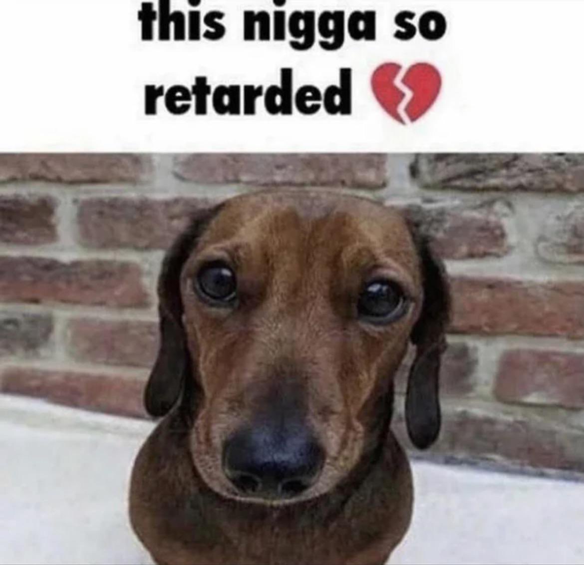 blueburner0's tweet photo. @MsIrexxx @unidedfore60713 @damiusofficia @DurkioWiz Then I got some bad news for you https://t.co/yM6wFv198G