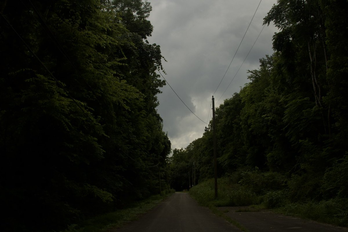 dreamland_usa's tweet photo. pictures i took on a dead end road https://t.co/a9DM6SrSoT