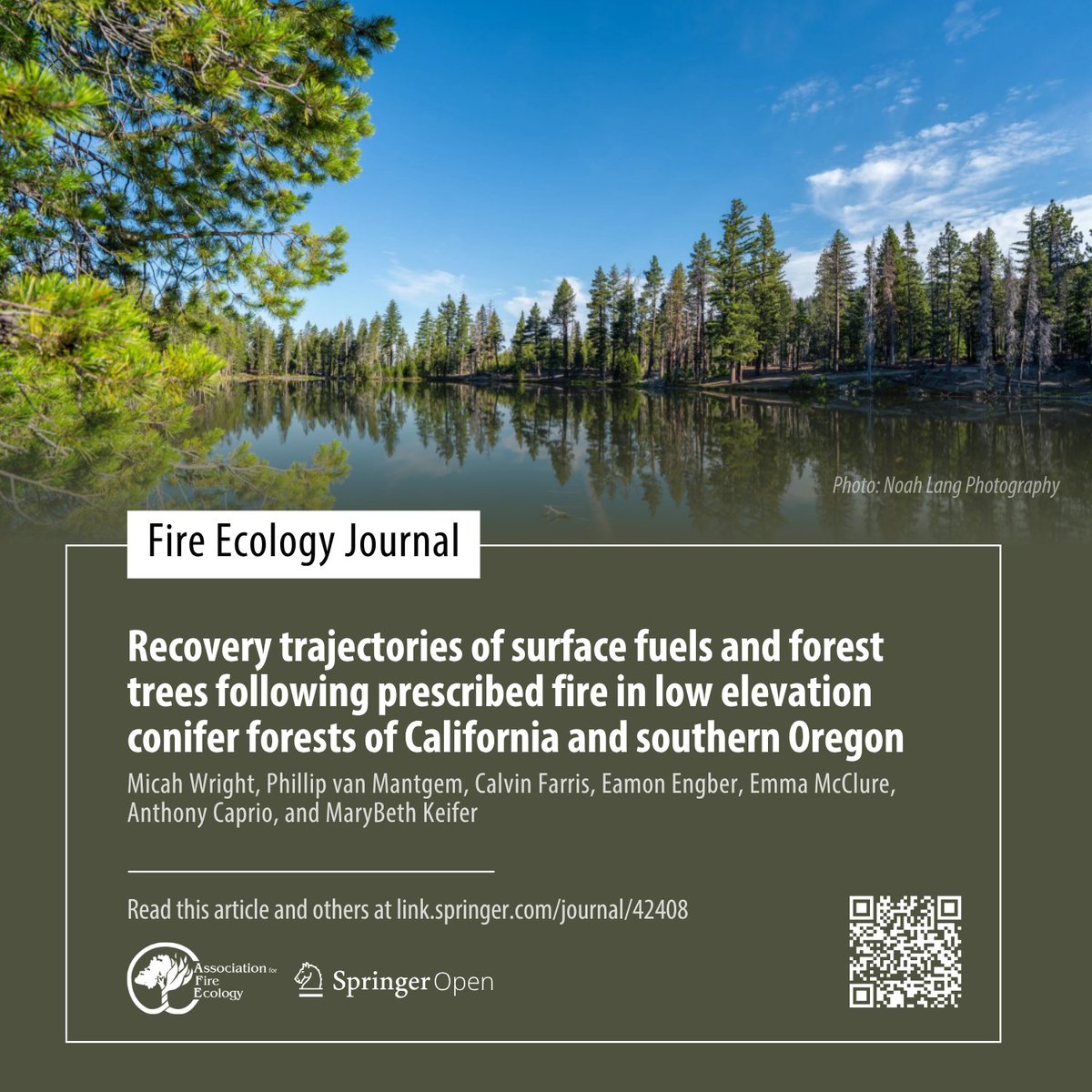 fireecology's tweet photo. Read "Recovery trajectories of surface fuels and forest trees following prescribed fire in low elevation conifer forests of California and southern Oregon" in the #FireEcology Journal #SNFECO https://t.co/17GzG7EVad https://t.co/m2CbwNUTaB
