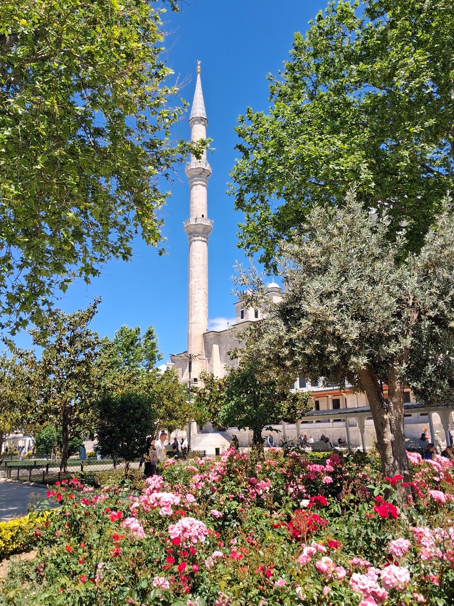 Svd_Gunes's tweet photo. Teslim ol ilâhî rızaya. Teslim olduğunda girecek her şey hizaya. S.Güneş https://t.co/dHYnfz3JTk