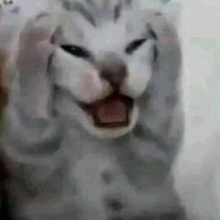 denjjwon's tweet photo. DIOS MIO ME VOY A MATAAAAR
ENSERIO QUE LAS CHINAS NO ENTIENDEN QUE LA CULPA ES DE LOS FANS TOXICOS Y NO DE NI-KIII
AAAAAAAAA ME VOY A MATAR
#ENGENEs_Stand_With_Ni_Ki 
#BELIFT_Defend_Your_Artists https://t.co/3dPGkaXyeX
