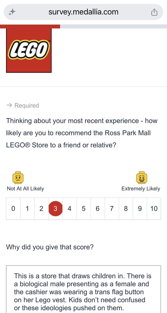 SmartassYinzer's tweet photo. Made a trip to the Lego store in Ross Park Mall. The cashier (not the one playing dress up) asked if I wanted to do a survey. 

Abso-fucking-LUTELY! https://t.co/LXbpg3EmxT