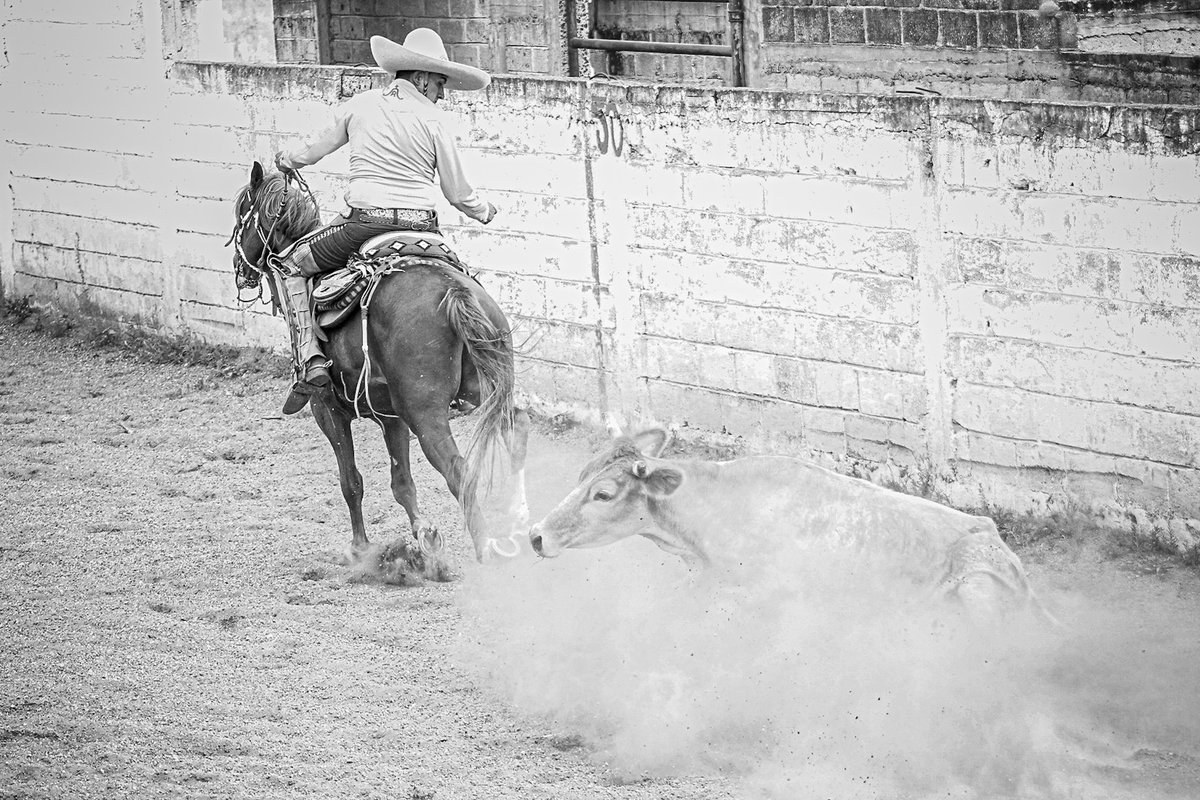 GabrielPiedrola's tweet photo. En la charreada https://t.co/UsAk5U3bsr