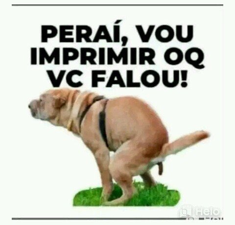 RuiBarbosaPuto's tweet photo. @BernardoMF https://t.co/8mIRA0h0Dr