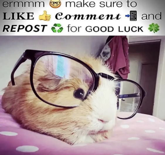 ashyaywoohoo's tweet photo. https://t.co/PkaVLFuS17