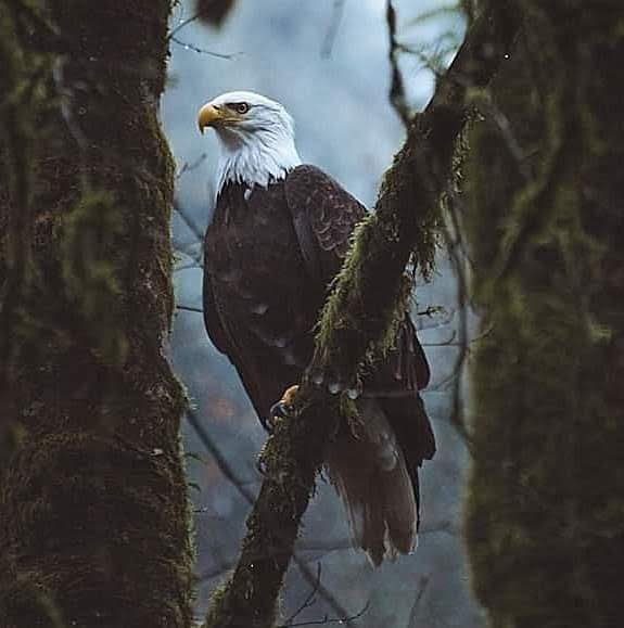 johnmeikel11's tweet photo. @PaulDMauro @AbdulElSayed Trust me he doesn't want to come in into my neighborhood. 
Trust me.. 
#Thesticks 
#countryboycansurvive https://t.co/riBsGXIfhX