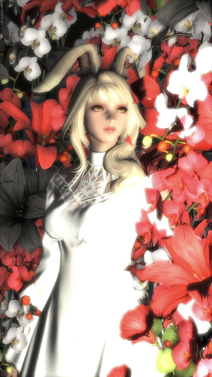 Abyss_swanson's tweet photo. 今日も元気にいってらっしゃい

#おはウサ #FF14 
#studio_krt 様💐 https://t.co/ar50HDzttE