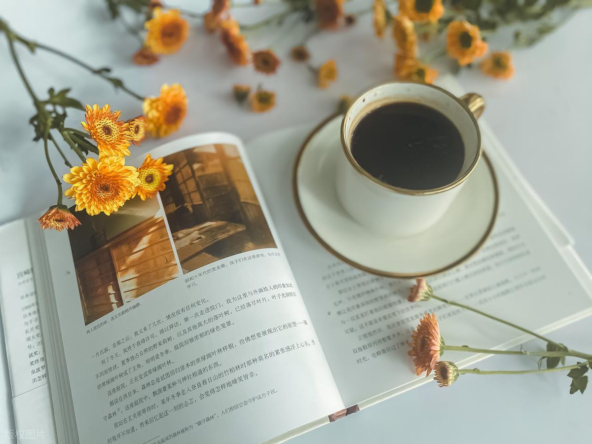 vsvrvt1's tweet photo. This week’s must-read: a heartfelt novel about chasing dreams and finding home in small moments  Perfect for cozy afternoons with a mug of tea! https://t.co/hbNZX3qDBZ