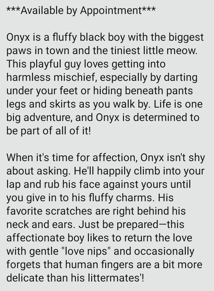 IBRescue's tweet photo. Onyx
Available by appointment only
Male 3 months
Gets along with: Cats, Small Dogs Kids
Diet: Purina One Plus Kitten Kibble
Littermates: Pidgey, Jynx
#adoptdontbuy #adoptme #catadoptions #RosevilleCA https://t.co/s7PScdYM3p