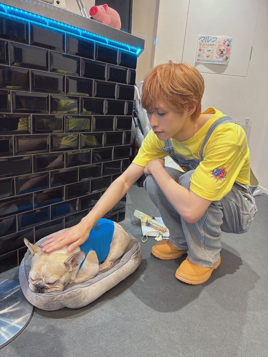 Yasuke_19Si's tweet photo. マルコと初めましてした！🖐🏻👀

おつかれでおねむ💤だったのかな
マルコ顔がﾑｷﾞｭ((((⊃)~ω~(⊂)))))
となっていてとても愛おしかった

1日お疲れ様☺️ https://t.co/c4OVM0t8BR