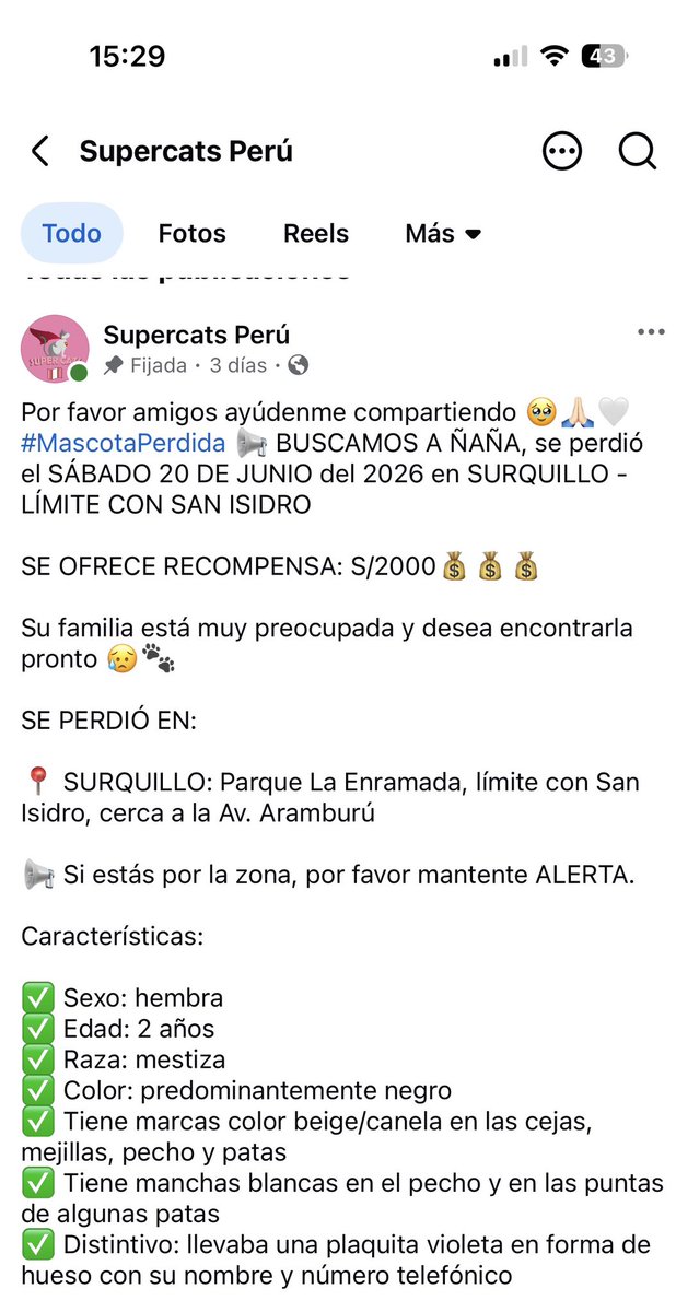 kabulkdm's tweet photo. Por favor siguen buscando a #Ñaña se extravió en el límite de Surquillo y San Isidro recompensa 2000 soles teléfono 998174276 @incondic_peru @RotafonoRPP @Paola310 🙏🏻 https://t.co/66bfRSQ9Fg