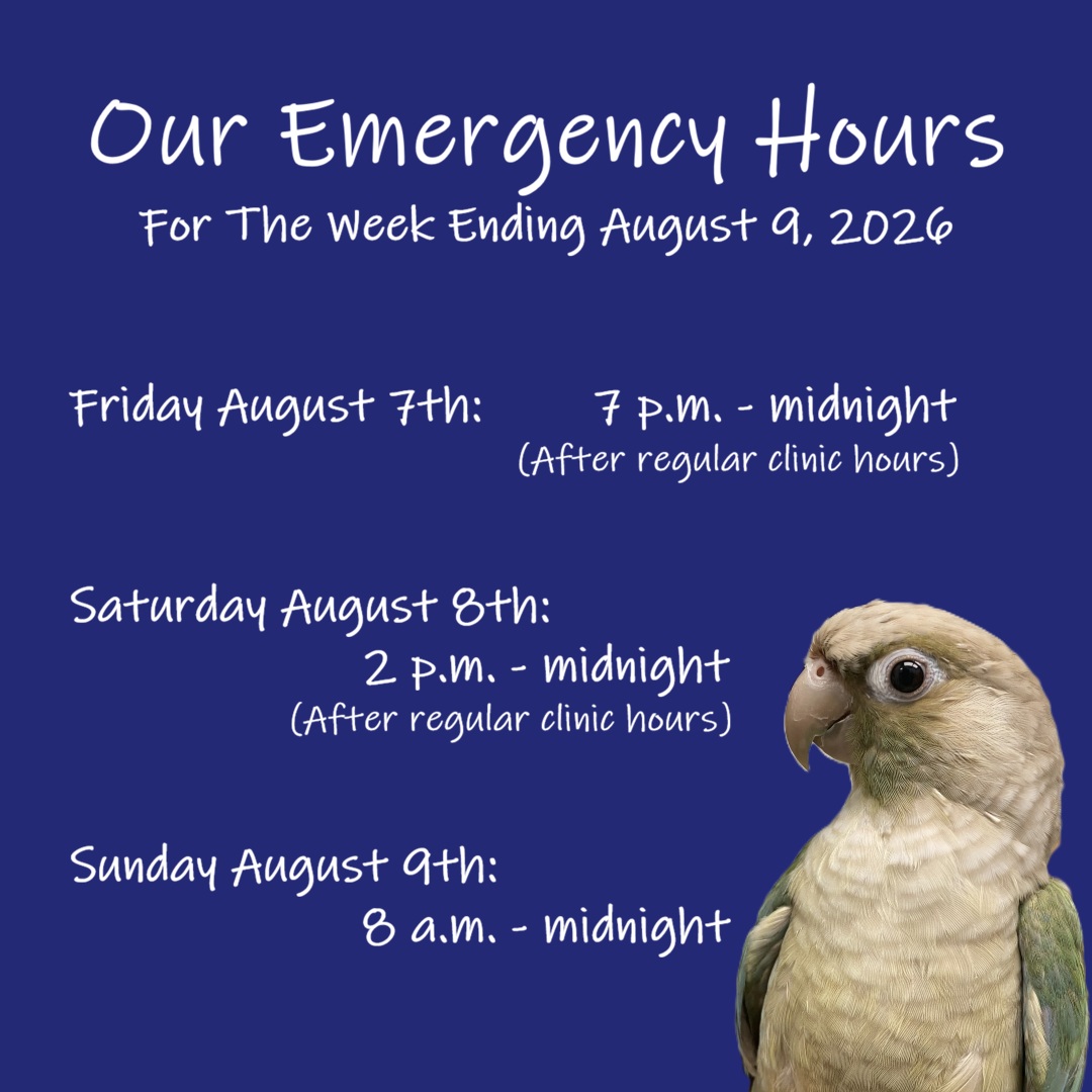 ExoticPetVets's tweet photo. Our weekend #EmergencyHours start tonight from 7 p.m. - #midnight, on #Saturday from 2 p.m. - midnight and on #Sunday from 8 a.m. - midnight. Please call our clinic at 416-223-1165 if your exotic pet needs urgent care. We wish you and your pets a healthy #weekend! https://t.co/zVF6CgdEDP