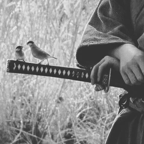 Meroitic_Royal's tweet photo. "Um guerreiro não só deve ser forte com seu arco, mas também deve ter um coração cheio de pena por todas as criaturas vivas."

― Eiji Yoshikawa https://t.co/1EsD8P4CiU
