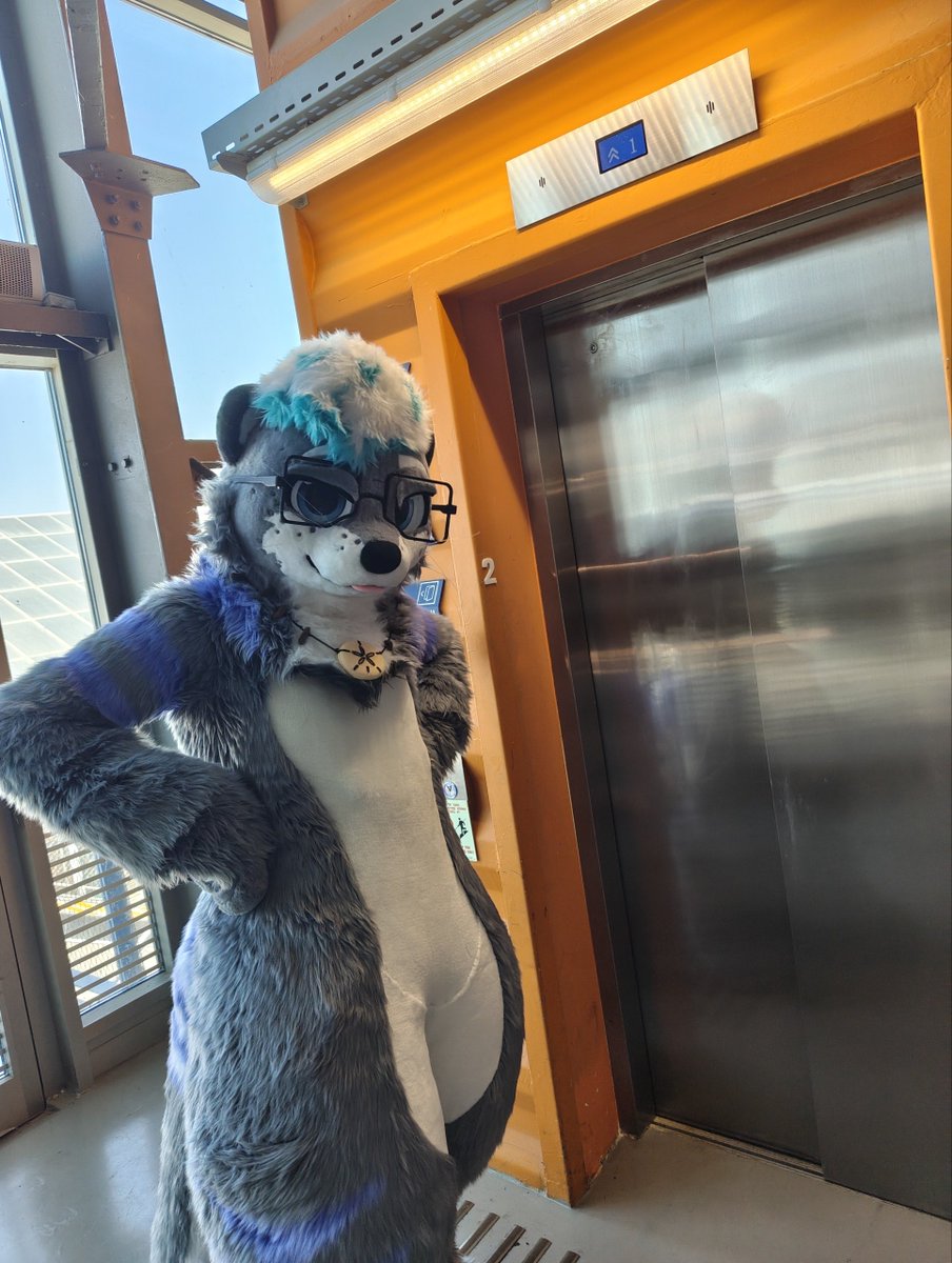 Roy_Otter's tweet photo. Them elevators!

Happy #FursuitFriday 💙 https://t.co/UqK2Qq5ED8
