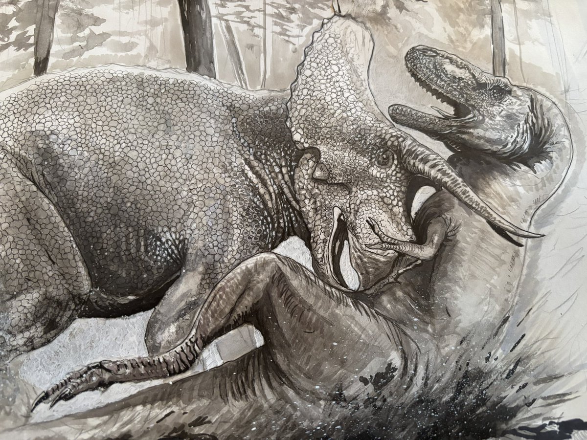 caine2124's tweet photo. Dueling dinosaurs https://t.co/7M66m5s65F