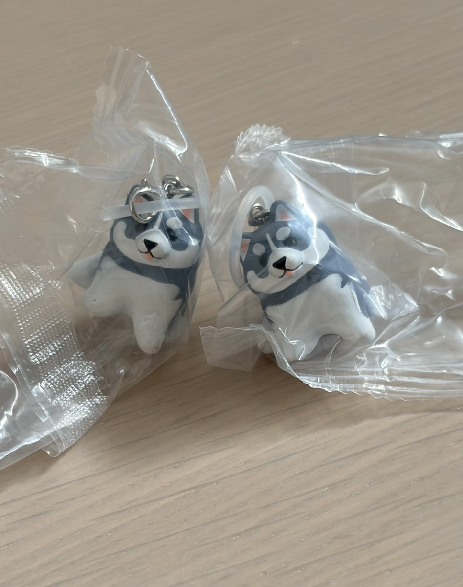 Frog_silent's tweet photo. @AB_trhk2 8/8の15時頃でお願いしたいです
梅田駅での交換は可能でしょうか？
厳しそうなら、四ツ橋駅でも大丈夫です

また、伝え忘れていたのですが、ハスキー2匹持っておりまして、コーギー2匹との2:2交換可能であればお願いしたいです
こちらも厳しそうであれば1:1で大丈夫です
よろしくお願いします https://t.co/T2to3FcwH8