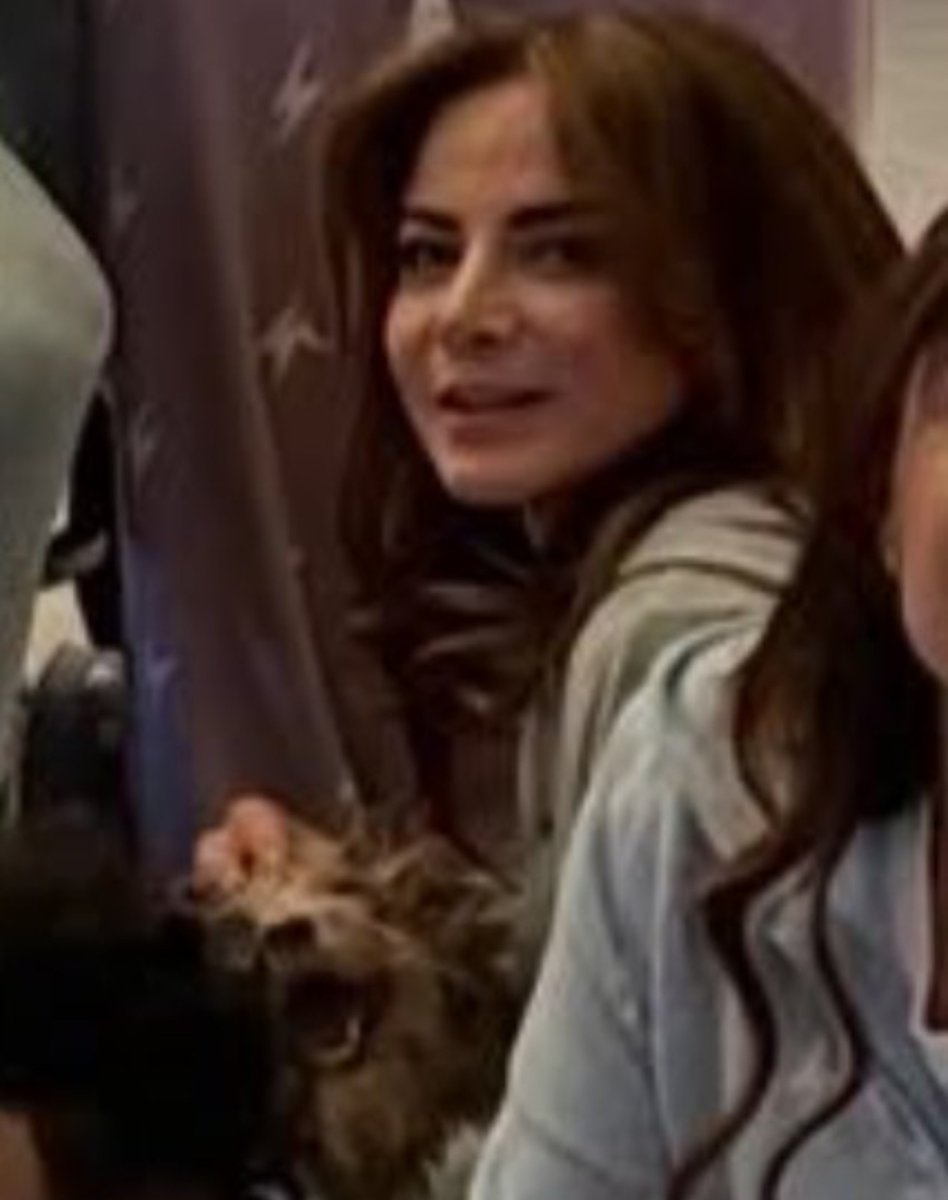 dctvegoddesss's tweet photo. yo pondría la misma cara si Silvia me hace mimos en la cabeza https://t.co/liKEUAYNqD