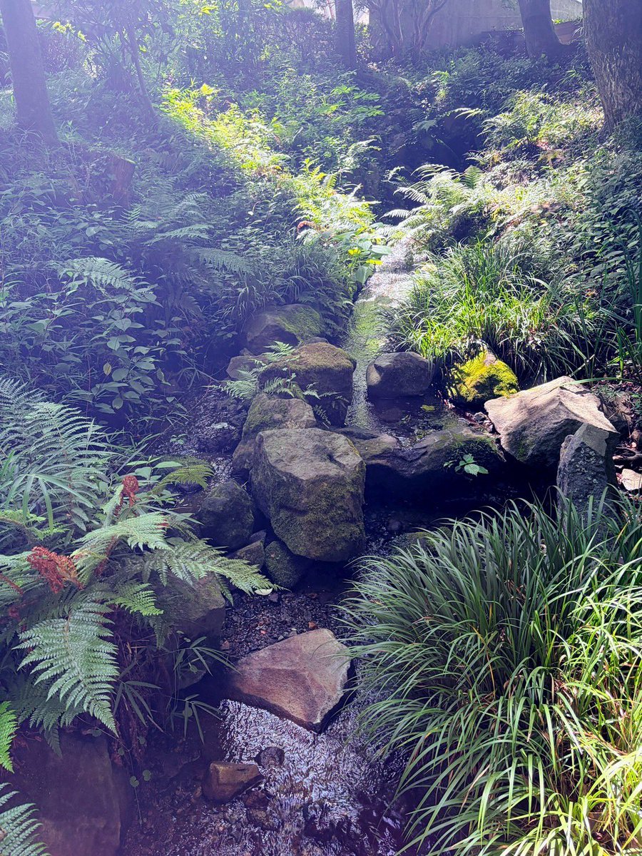 npk1218's tweet photo. 箱根旅行いきました！
風景が綺麗で割と涼しかった♩ https://t.co/40XJJc0Oo6