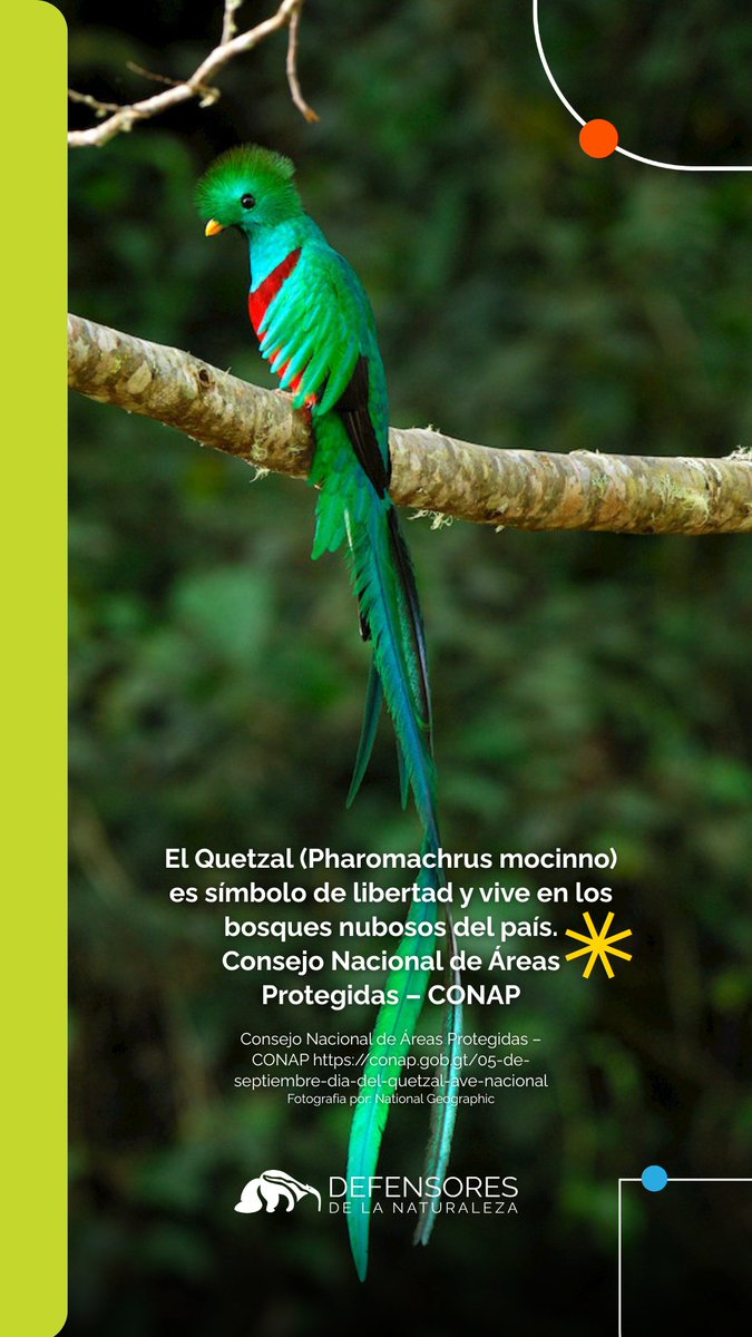 Defensores_FDN tweet picture