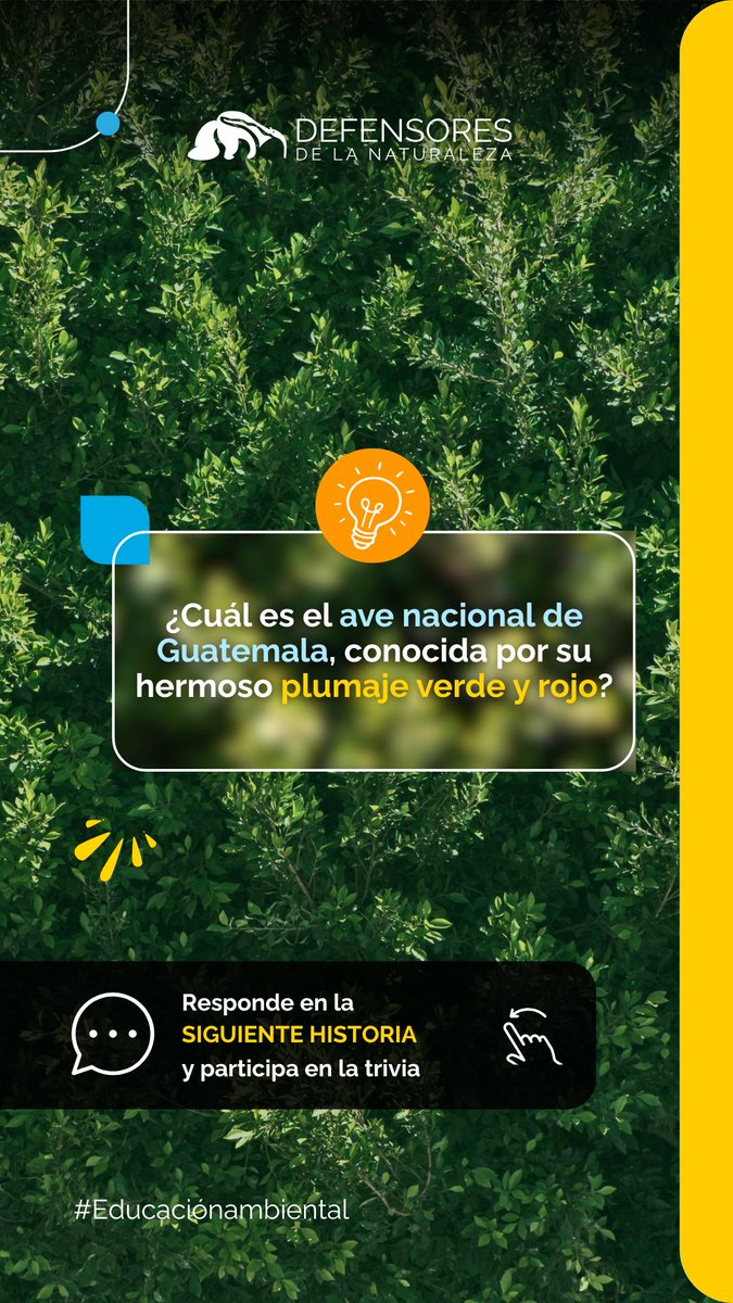 Defensores_FDN tweet picture