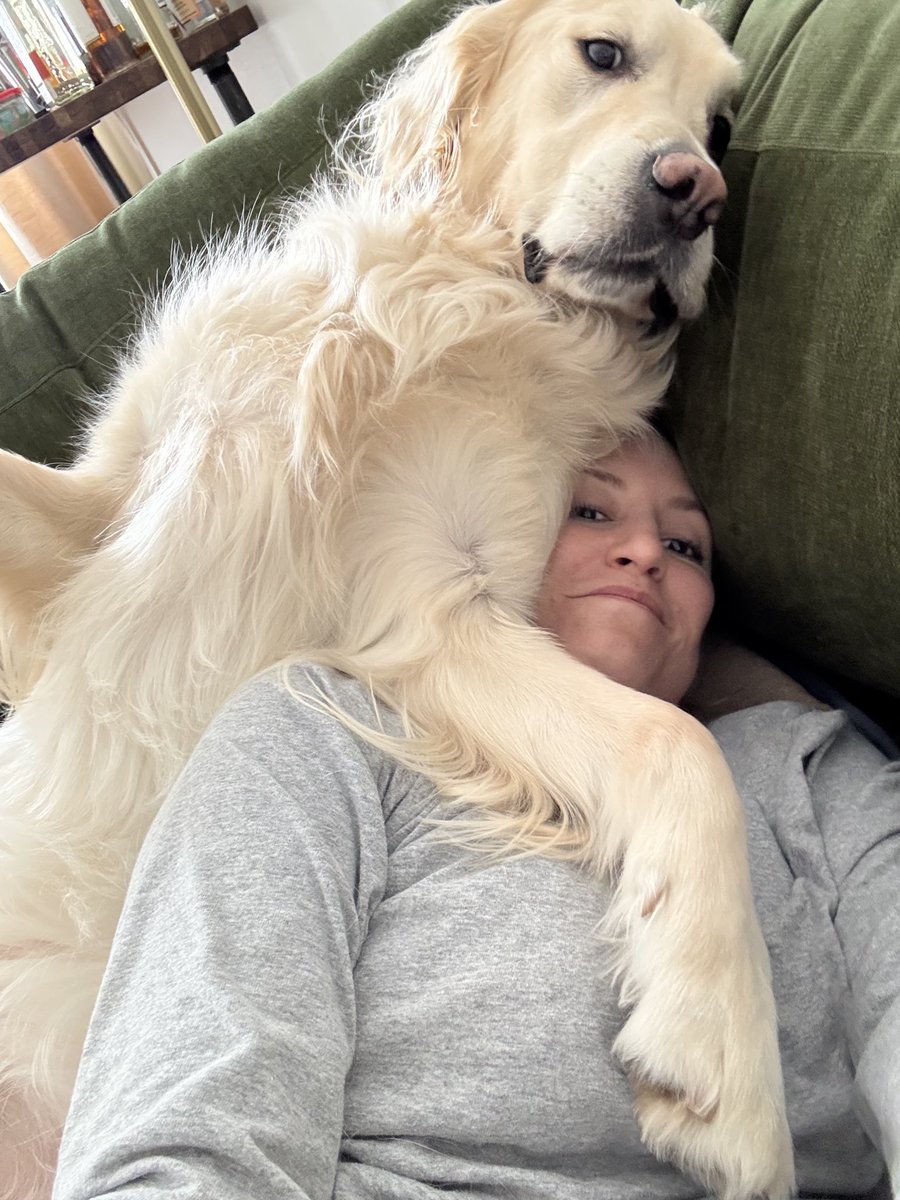 margturps's tweet photo. @himbopotamuss to be clear it was in no way selfless because this dog rules &amp; he is the best cure for seasonal depression without year round dog ownership https://t.co/heNeFjcZ1a