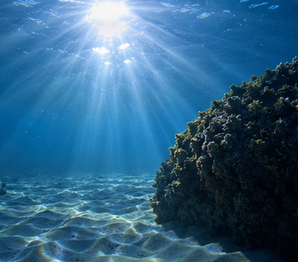 Divemaster_hyde's tweet photo. 相棒たちが静かに並ぶ朝。今日も海へ行こうか。

#癒し #海のある暮らし #水中世界 #静寂 #diving #oceantherapy https://t.co/lCV9HkcumX