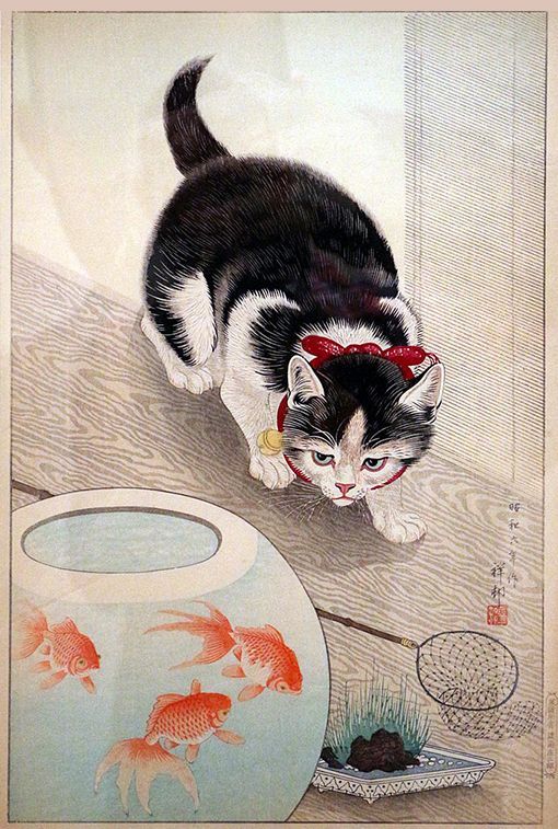 bijutsufan's tweet photo. 小原古邨『猫と金魚』1931年 #世界猫の日 https://t.co/1LsdRNTshA