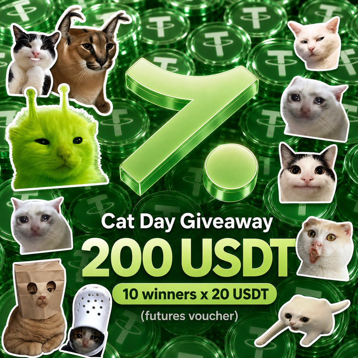 HotcoinGlobal's tweet photo. It's a Cat Day &amp; Hotcoin is giving away 200 USDT 

Simple:
✅ Follow @HotcoinGlobal 
✅ Like, repost, and reply to this post with your UID

🎁 200 USDT will be shared among 10 lucky winners

Hope you get lucky! 🥳 https://t.co/CXZaLEXWU4