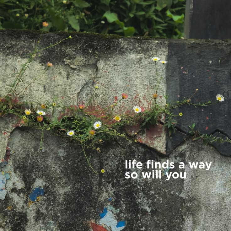 greenvibe's tweet photo. life lesson https://t.co/dbQeyKP8DR