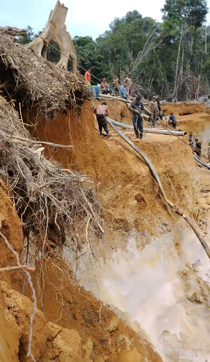 Fritz_A_Sanchez's tweet photo. #Atencion  #Venezuela 

🚨 Esto es minería aurífera a cielo abierto: bosque destruido, suelo removido y enormes cortes en el terreno. La utilización de agua a presión acelera la erosión y transforma el paisaje en un territorio degradado.

#SurDelOrinoco https://t.co/Xvo50b7hJY