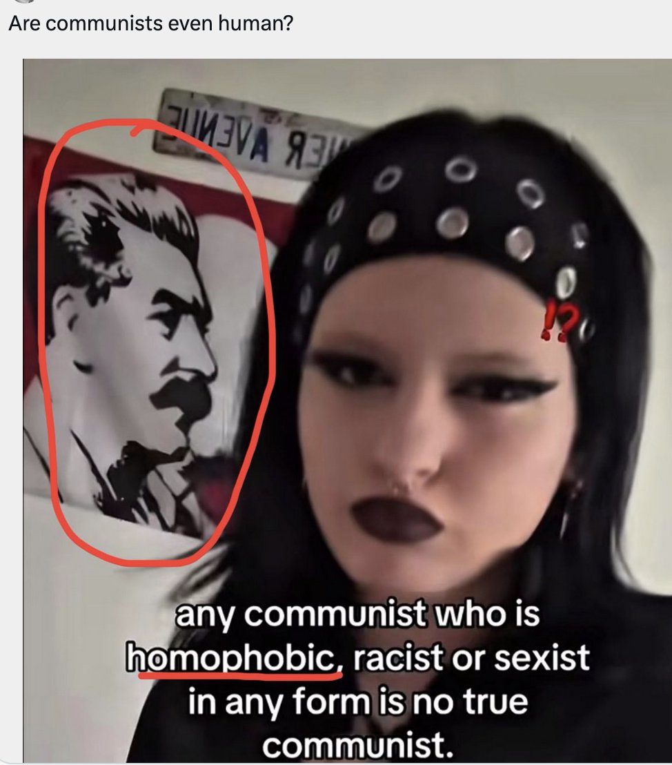 FoxyMarxist's tweet photo. we critique socialism in order to improve it

it is very easy for me to say stalin implemented rabidly homophobic policies and that i condemn that. 

 i still view the ussr positively and communism positively https://t.co/sSLqA5WPGB