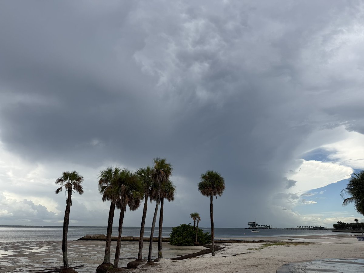 TampaStorm's tweet photo. Thunderstorm Tampa Bay 8/7/26 St. Petersburg
@JimCantore @bn9weather @tropicalupdate @ReedTimmerUSA @PaulFox13 @DenisPhillipsWx @WeatherNation @MattDevittWx @BobbyWTSP @WeatherProf
@julianamwx @jonathanbelles @NWSTampaBay @AndyHazelton @NbergWX
@weatherchannel @mcclureWX https://t.co/Ri61bFDIIB