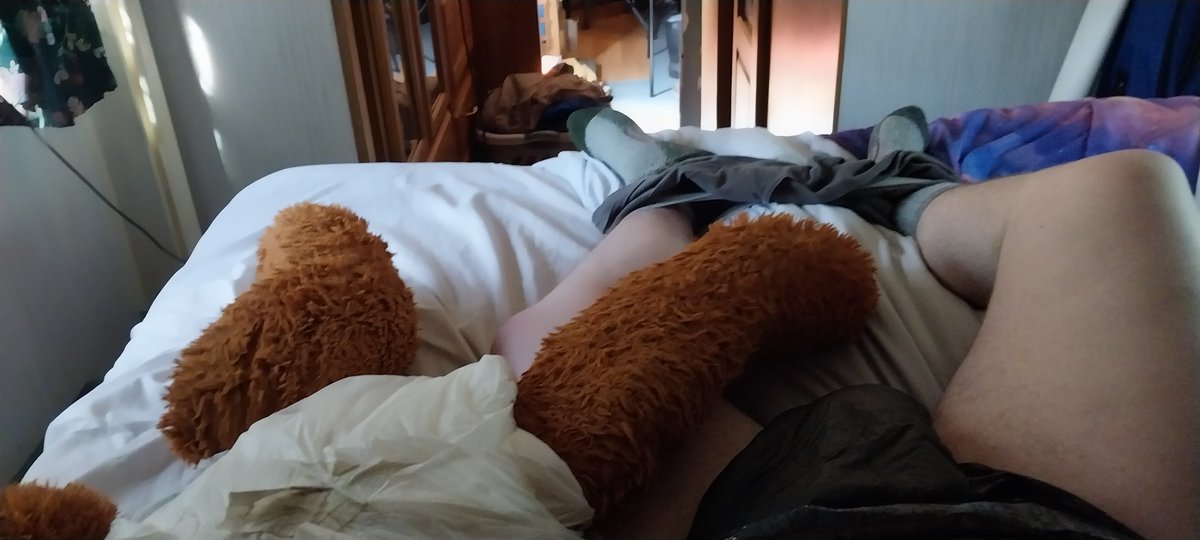 sphynx7191's tweet photo. @RedIsASwitch Me and my teddy are sweating in the heat here. https://t.co/IcGRLMgJdx