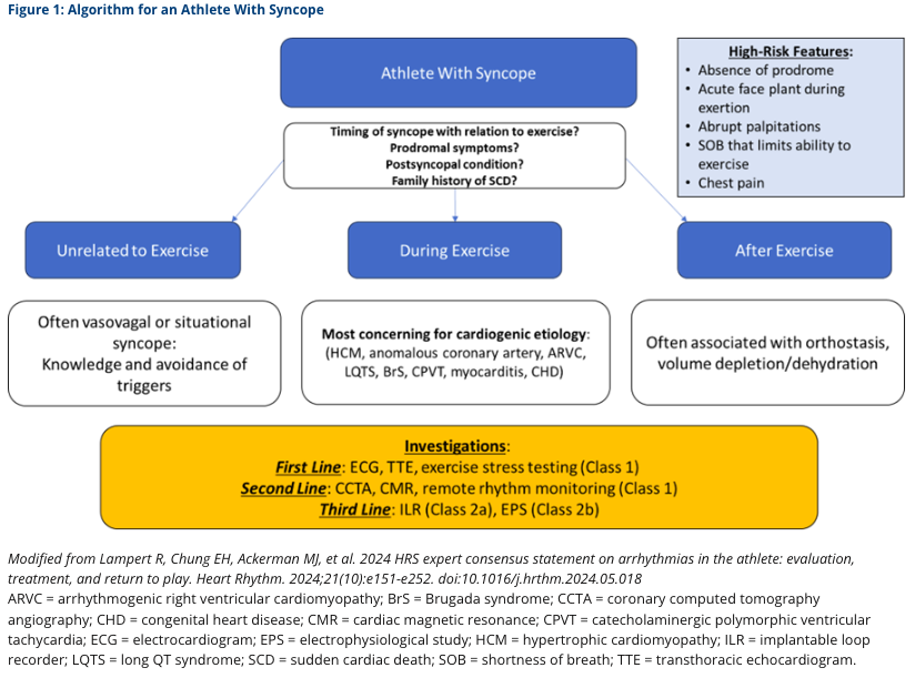 CardioSocietyVR's tweet photo. Algorithm for an Athlete With Syncope

https://t.co/TlR5Vg05Uu https://t.co/x3J5hmMGDz