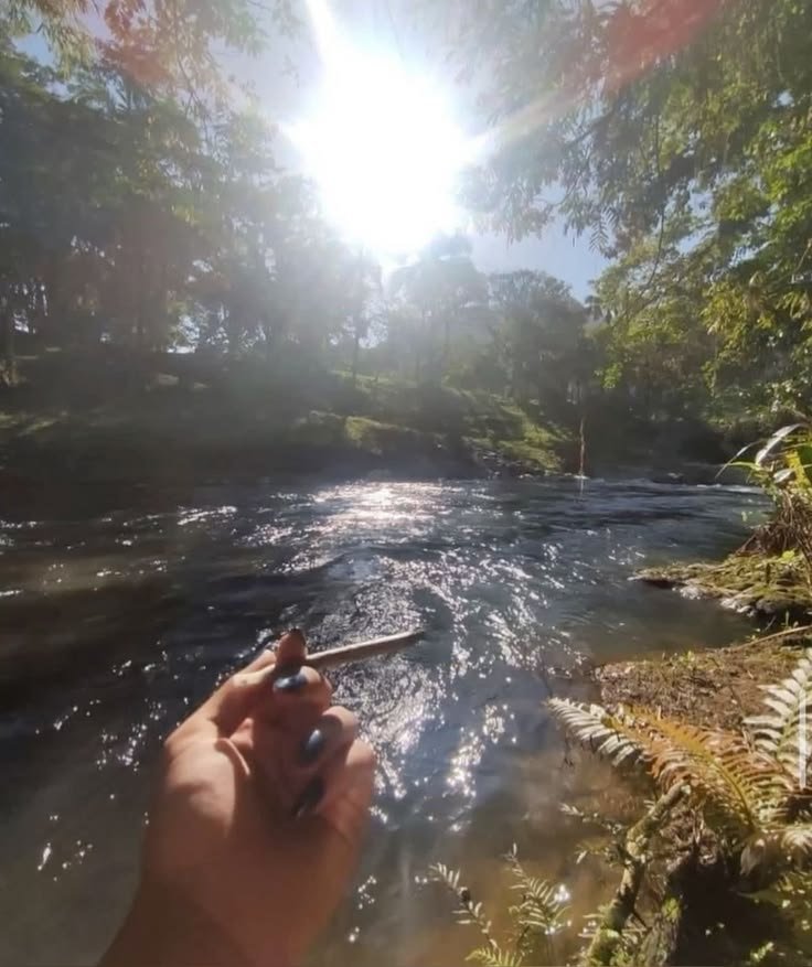 backriz_dub's tweet photo. Therapy 🍃✨ https://t.co/xsNDs0rasZ