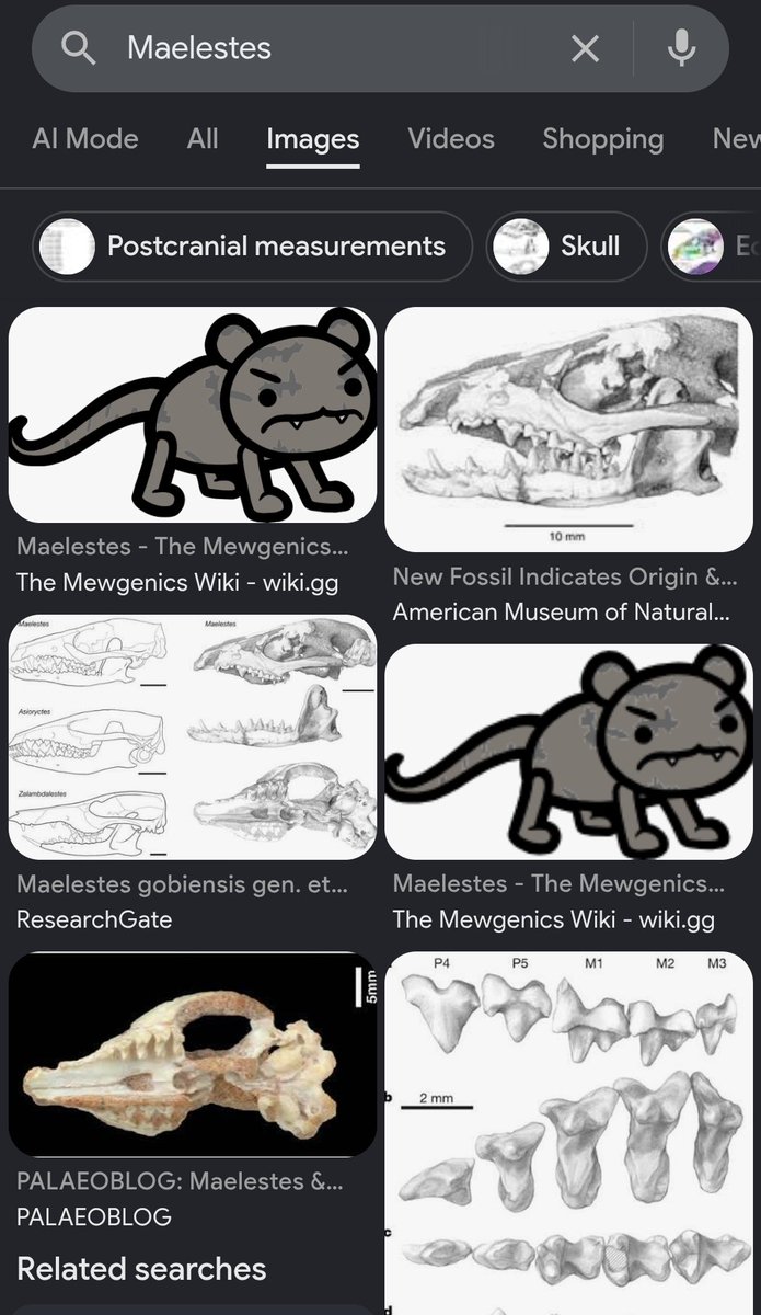 Coolbeans016's tweet photo. @TylerGlaiel Another impact jurrasic has is when you look up maelestes on Google the enemy in game has more priority than the actual animal lol https://t.co/1uk9ice53k