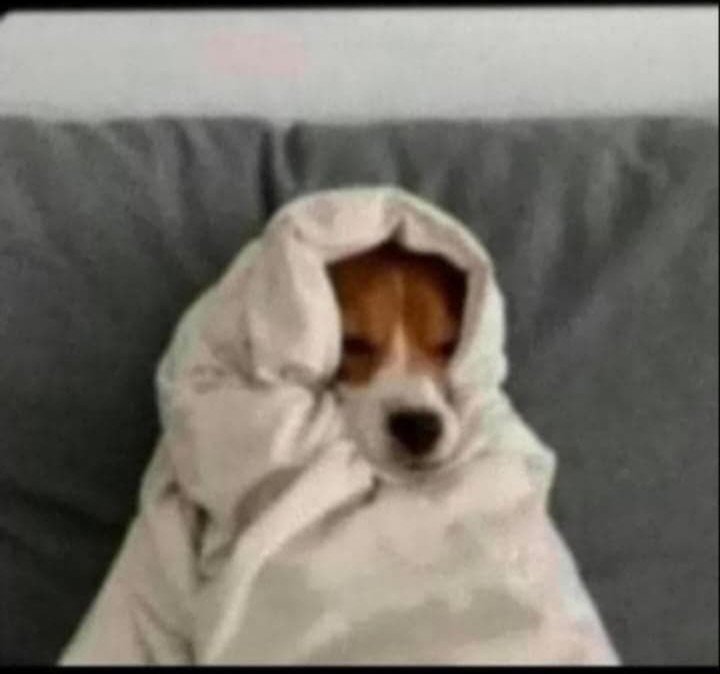 EngFelix_035's tweet photo. What is this weather? 🥶🤧 https://t.co/RpvnnHT28S