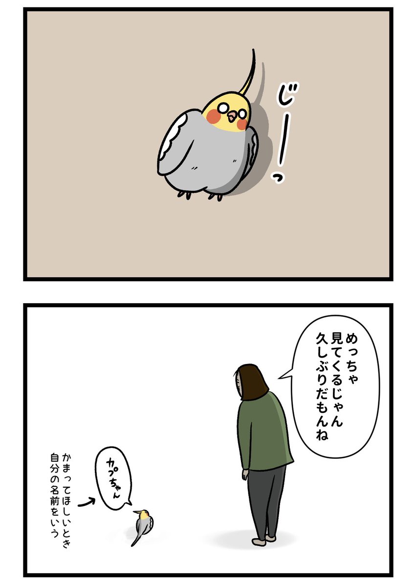 nonno_kaba's tweet photo. 2/2 https://t.co/WRUozMusno