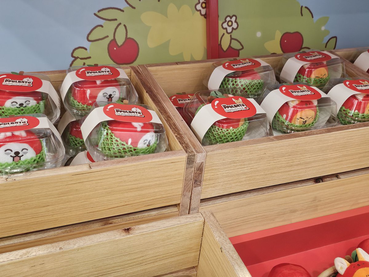 MOAbuhayAcademy's tweet photo. The Appulbatus are officially in the Philippines 🥹🍎

#PHulbatuInMOA #MOAsinMOA @apopcollections https://t.co/lGfm4QpPaA