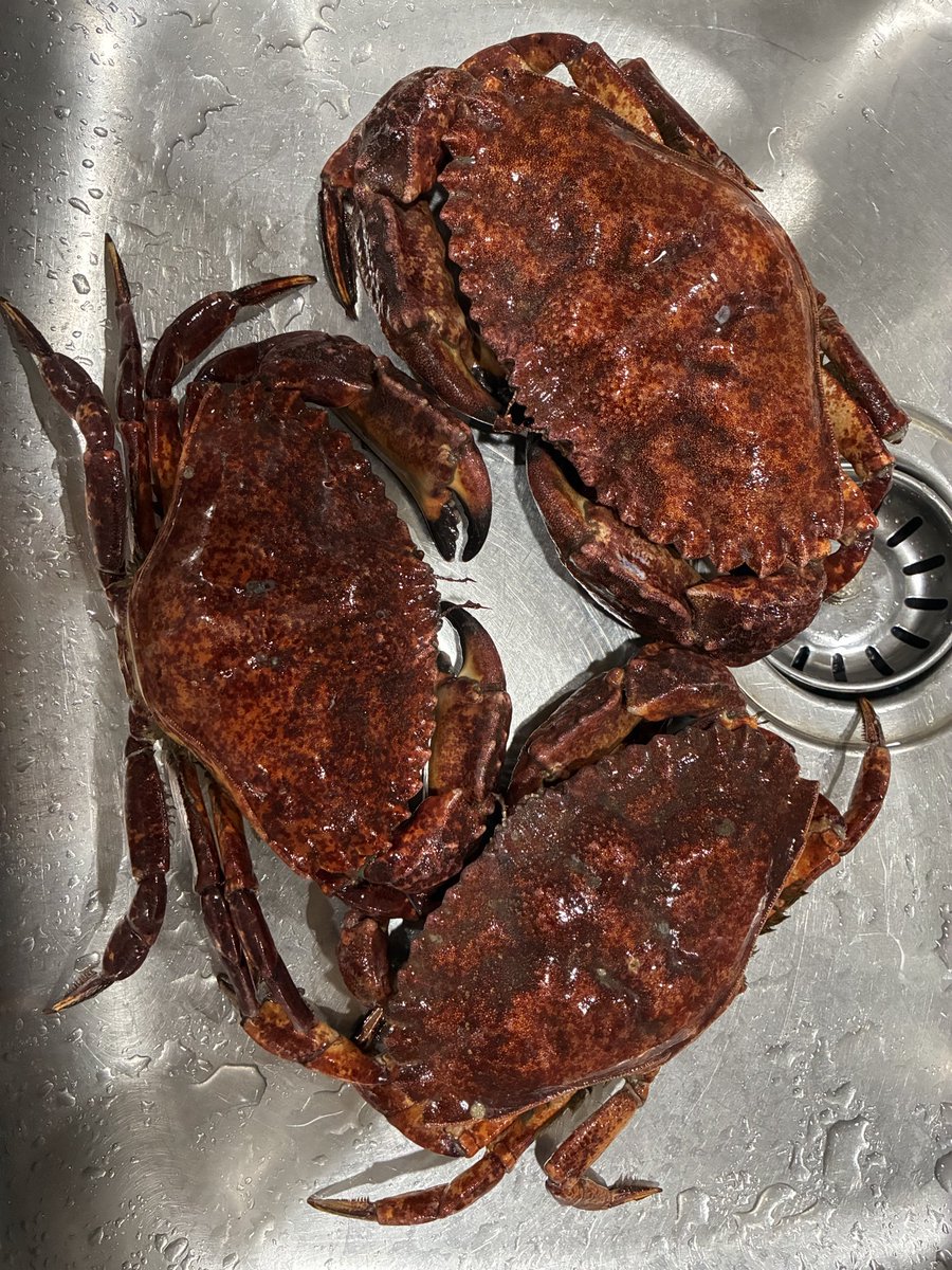 NWmx0119's tweet photo. Another perfect day for crabbing! https://t.co/9RFi0H4HD3