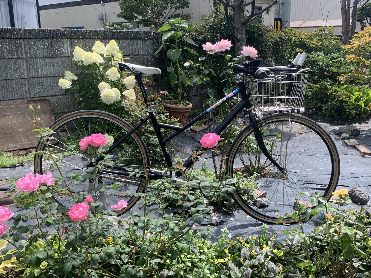 tdkyk256's tweet photo. 今度の火曜日はカゴ付き自転車でサーキットを爆走致しまする！ https://t.co/HDq5jmrGf3