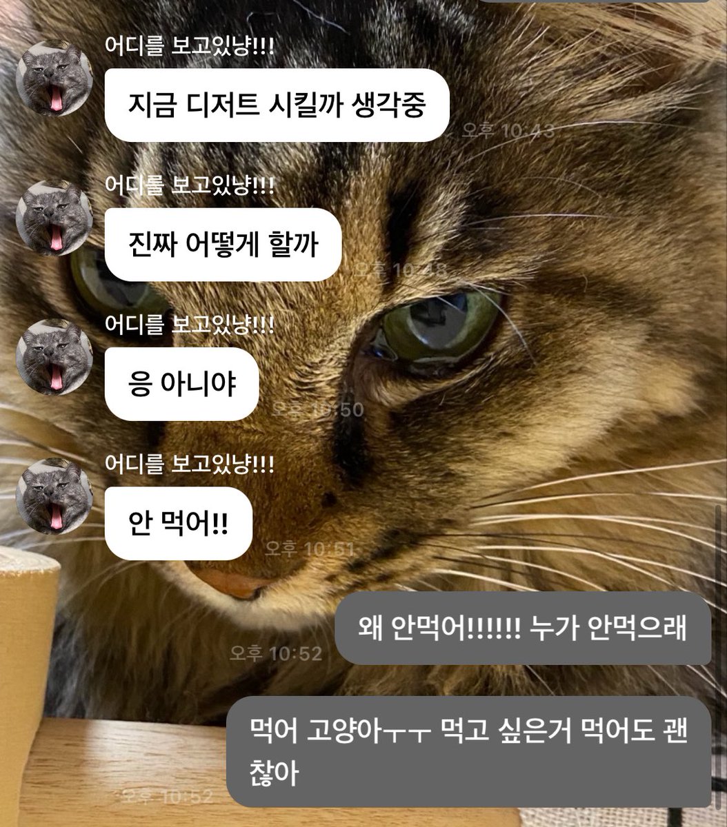 xxiakick's tweet photo. 먹고싶은거 먹고 하고싶은거 하는 삶을 살았으면 좋겠어🥲💙 https://t.co/5oiPrSqI5W