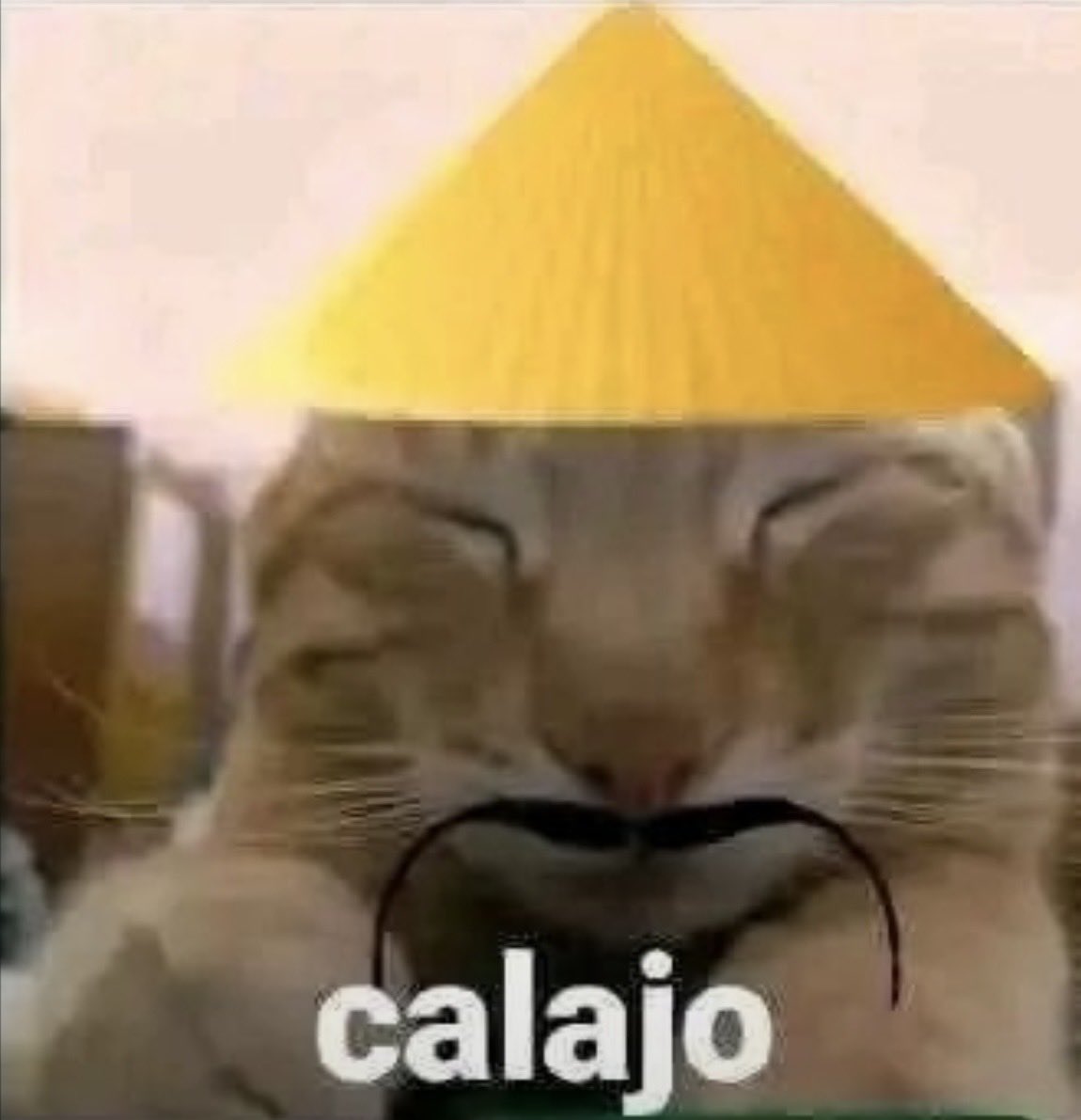 sweetanniechan's tweet photo. Si eres china u te dolió mi comentario, no tengo intenciones racistas contra tu país, pero hay un claro patrón. https://t.co/fvJj8IXJIl