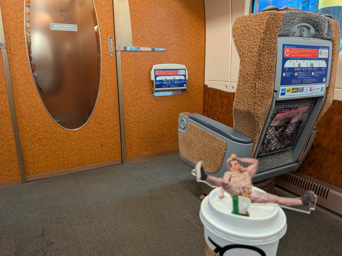 misakiCYT's tweet photo. ラピートの座席ってヒョウ柄だったんだ！！！ https://t.co/22w5MJ9qiT