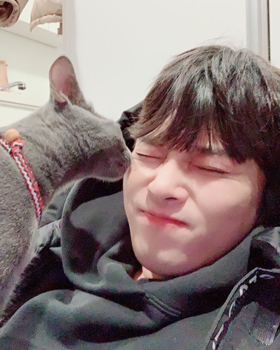 ODOKANI_'s tweet photo. 세계고양이날 어쩌구래  구니깐 고영이 알티🐈‍⬛🐈
종일로 최먼지보러 가야겟다~ 히히 https://t.co/D1Nje5fE2a