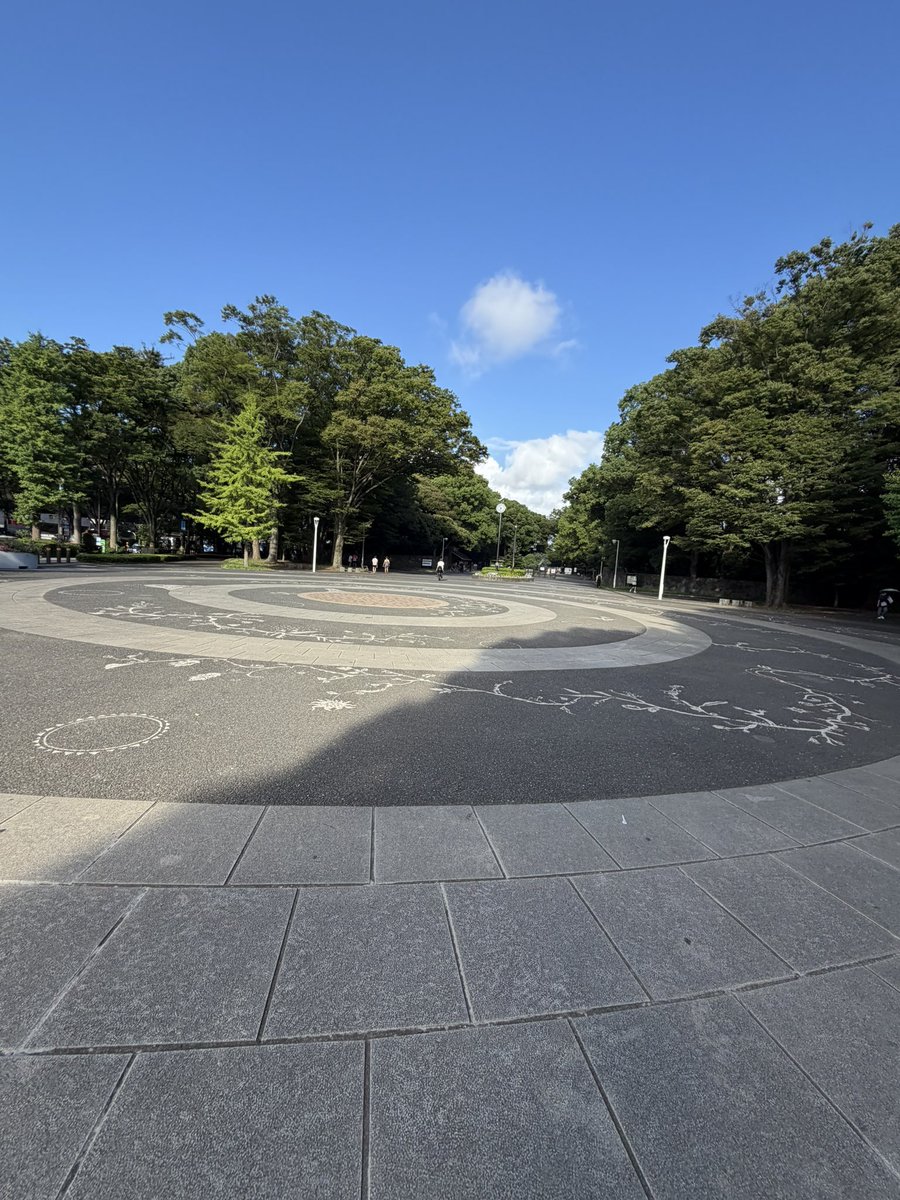 Hishigon777's tweet photo. 週末朝ラン。5時起きですが、それでも暑い！
山手線一周しようと思ったけど、原宿でトイレに行きたくなり、代々木公園へ。そのまま公園内を10km周回。トータル30km(ただし、たくさん歩く)という結果でした。
体重計ったらラン前後で1.9kgの変化。これ全部汗？こわー
#朝ラン https://t.co/pNyjVaVuj7