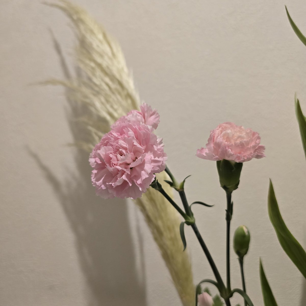 morogle's tweet photo. 地震で花瓶ぶっ倒れてしもたのと、余震多くて次大きいの来たら…っておもうとアレだったけど玄関のお花復活！ https://t.co/8zCIh25s3r