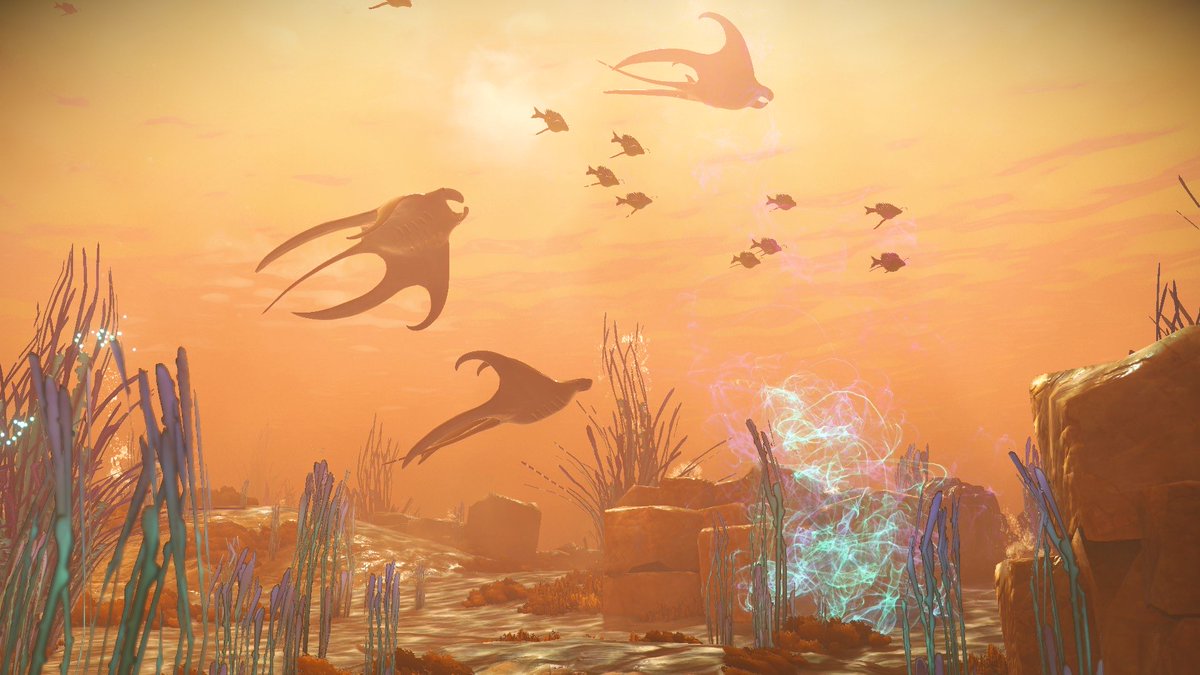 benster987's tweet photo. #ADecadeInNMS
#NoMansSky
This game is more than a game. It’s another universe bordering on infinite, and I’ve played for more than 1000 hours. You can be whoever you want; a pirate, a fisherman, an explorer, an architect, and much more, and I cannot wait to see what comes next :) https://t.co/HZzAsIj2ia
